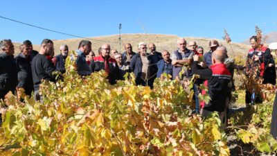 Haber: Muhammed Enes SEVİLİR Erzincan’ın Üzümlü ilçesine bağlı Pişkidağ Köyü’nde,
