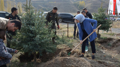 Haber: Muhammed Enes SEVİLİR 11 Kasım Milli Ağaçlandırma Günü kapsamında