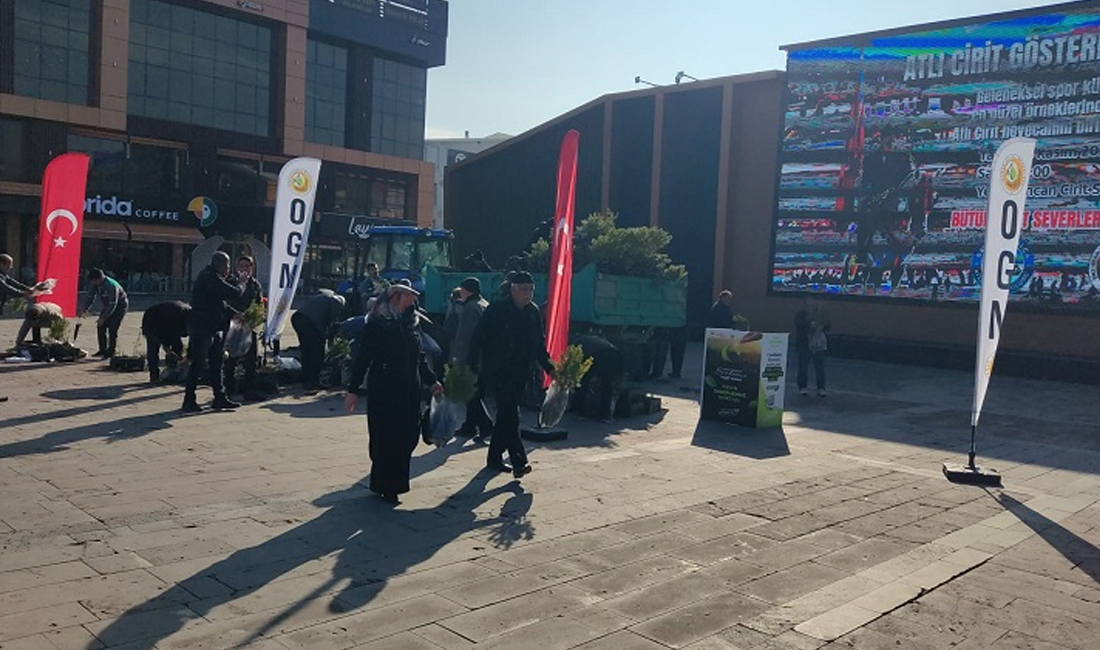 Erzincan İl Tarım ve Orman Müdürlüğü’nün düzenlediği ücretsiz çam fidanı