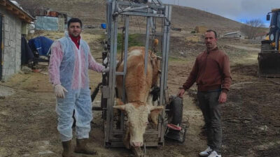 Haber: Muhammed Enes Sevilir Erzincan İli Damızlık Sığır Yetiştiricileri Birliği