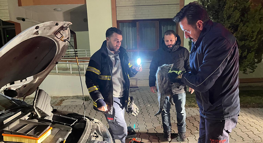 Haber: Muhammed Enes Sevilir Erzincan’da duyarlı vatandaşların ihbarı üzerine harekete