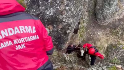 Haber: Muhammed Enes Sevilir Erzincan’da otlamak için dağlık bölgeye çıkan