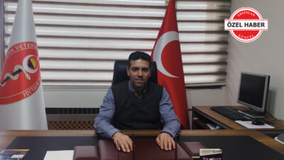 Veteriner hekim denetiminden geçmeyen hayvansal gıdalar, Salmonella ve E. coli