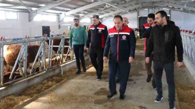 Haber: Muhammed Enes Sevilir Tarım ve Orman Bakanlığı’nın Kırsal Kalkınma