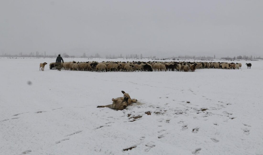 Haber: Muhammed Enes Sevilir Meteoroloji Genel Müdürlüğü tarafından yapılan son