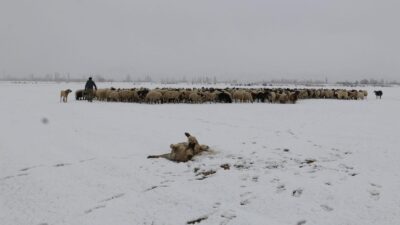 Haber: Muhammed Enes Sevilir Meteoroloji Genel Müdürlüğü tarafından yapılan son