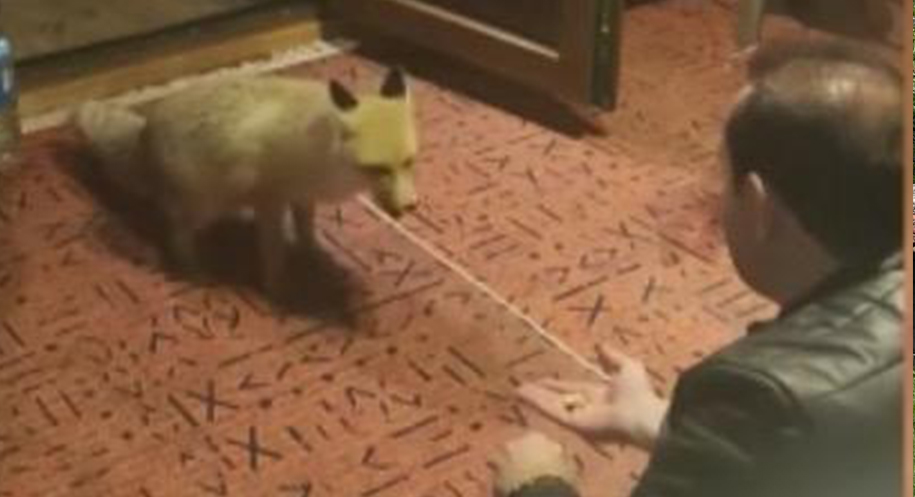 Haber: Muhammed Enes Sevilir Erzincan’da polis ekiplerinin aranan şahıslara yönelik