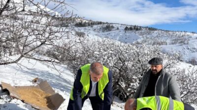 Haber: Muhammed Enes Sevilir Üzümlü ilçesinde soğuk kış günlerinde yiyecek