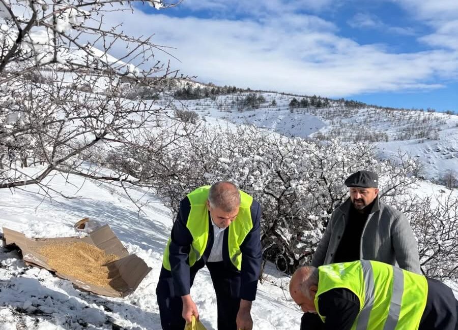 Haber: Muhammed Enes Sevilir Üzümlü ilçesinde soğuk kış günlerinde yiyecek