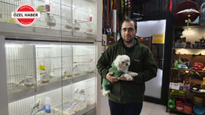 Erzincan’da 15 yıldır evcil hayvan sektöründe hizmet veren işletme sahibi