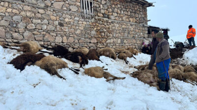 Haber: Muhammed Enes Sevilir Erzincan’ın Kemah ilçesine bağlı Şahintepe Köyü’nde