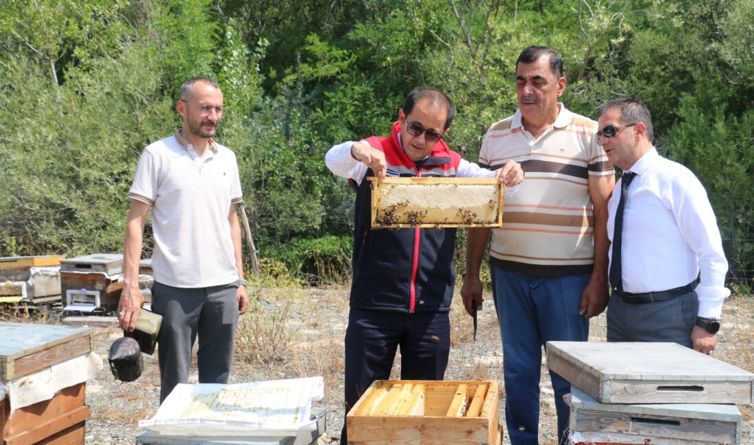 Erzincan Geven Balı, Türk Patent ve Marka Kurumu tarafından coğrafi