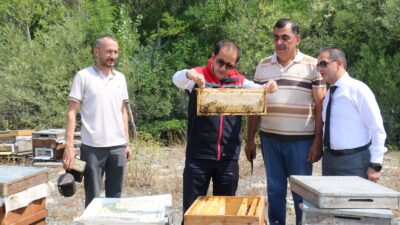 Erzincan Geven Balı, Türk Patent ve Marka Kurumu tarafından coğrafi