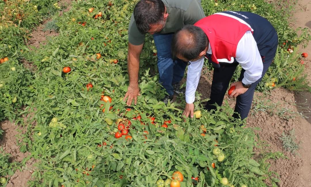 Haber: Muhammed Enes Sevilir&nbsp; Erzincan’da tarımsal üretimi artırmak ve üreticilere