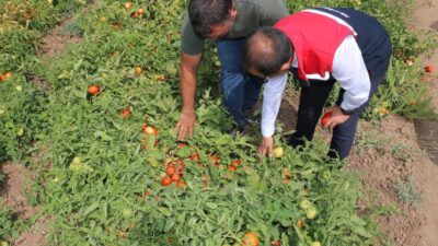 Haber: Muhammed Enes Sevilir&nbsp; Erzincan’da tarımsal üretimi artırmak ve üreticilere