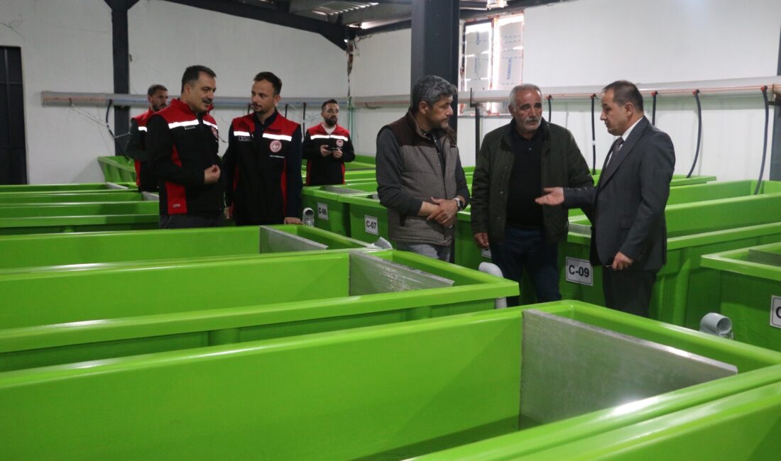 Haber: Muhammed Enes Sevilir&nbsp; Erzincan’da su ürünleri sektörüne önemli katkı