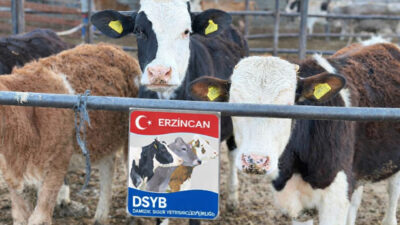 Erzincan İli Damızlık Sığır Yetiştiricileri Birliği (DSYB) Olağan Genel Kurulu’nda