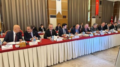 Haber: Muhammed Enes Sevilir&nbsp; Türkiye Büyük Millet Meclisi’nde (TBMM) Kamu