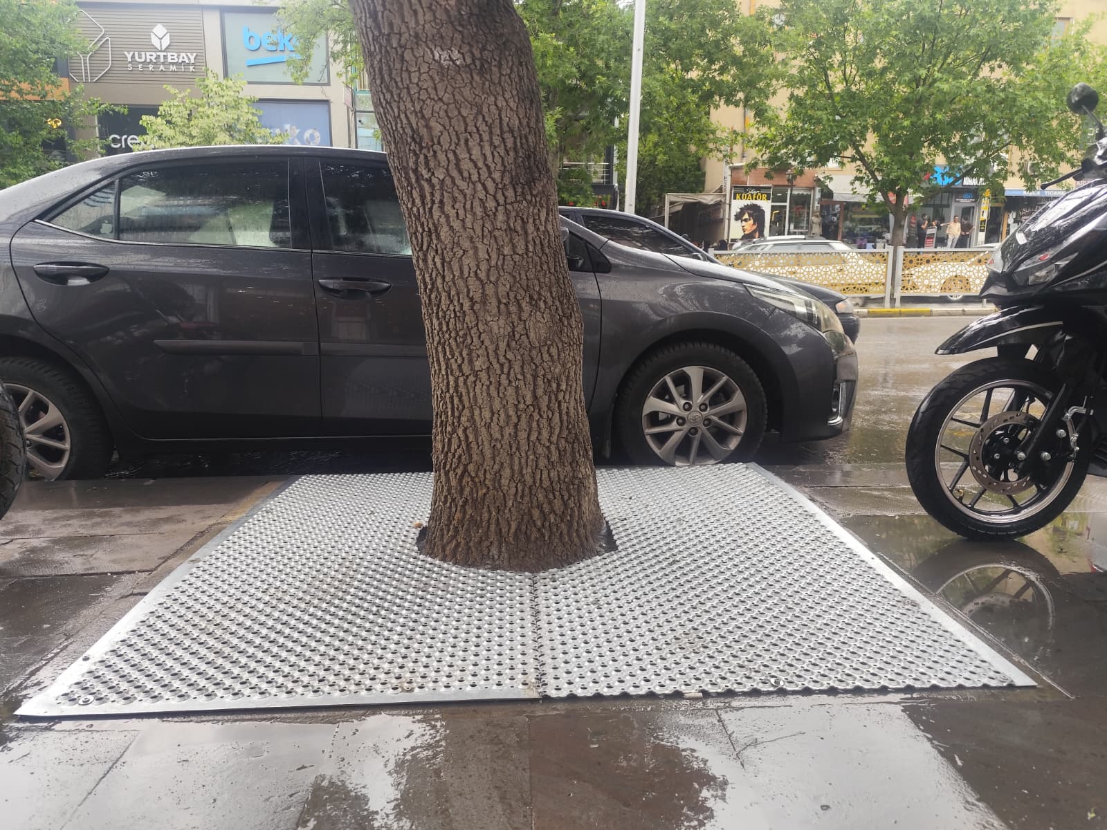 Erzincan Belediyesi, Ordu Caddesi üzerindeki ağaçların bulunduğu alanlarda dökme demir