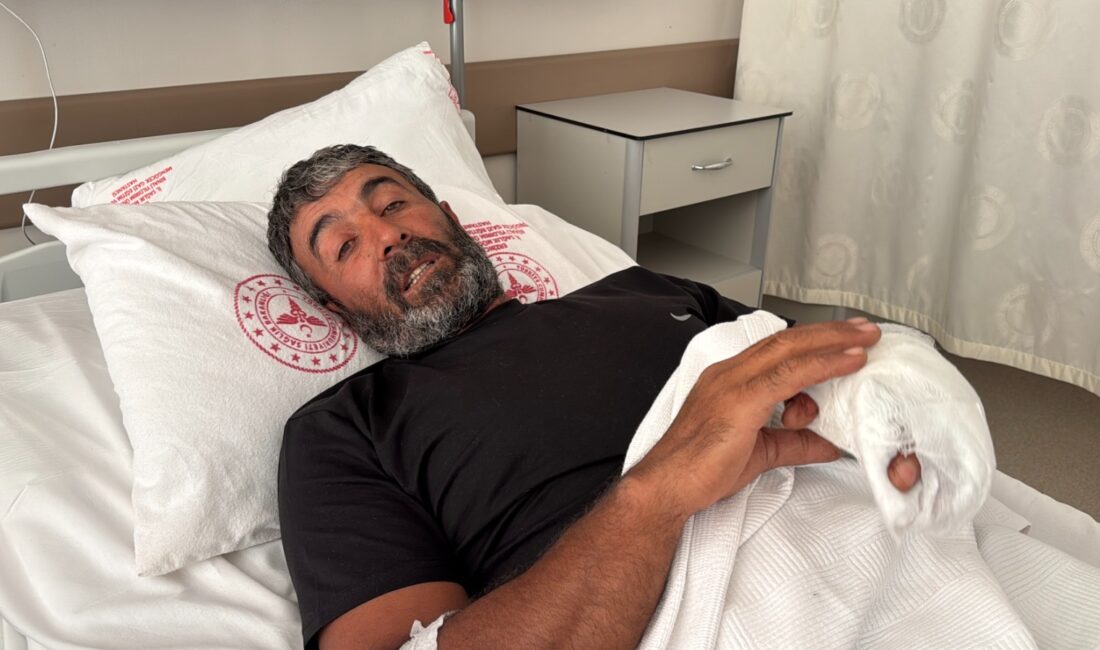 Haber: Muhammed Enes Sevilir Erzincan’ın Tercan ilçesinde meydana gelen ayı