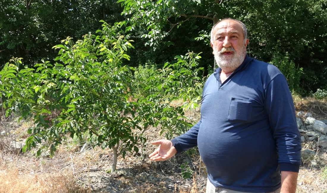 Erzincan merkeze yaklaşık 20 kilometre uzaklıktaki Başpınar Mahallesi’nde yaşayan vatandaşlar,