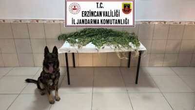 Erzincan’da uyuşturucu ve uyuşturucu madde üretimine yönelik çalışmalarını sürdüren İl