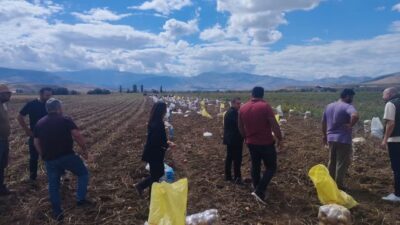 Haber: Muhammed Enes Sevilir&nbsp; Erzincan’ın Tercan ilçesi ile ilçeye bağlı